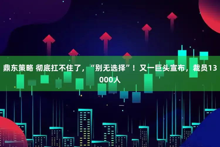 鼎东策略 彻底扛不住了，“别无选择”！又一巨头宣布，裁员13000人